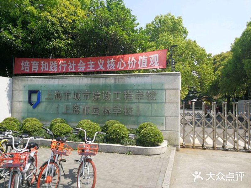 建造师培训：行业发展的桥梁与纽带